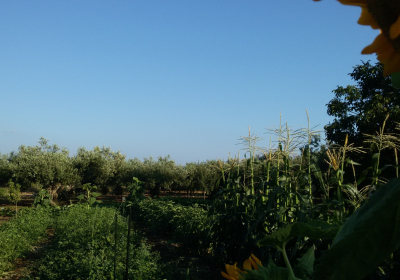 Casa Vacanze Villetta Le Antiche Macine